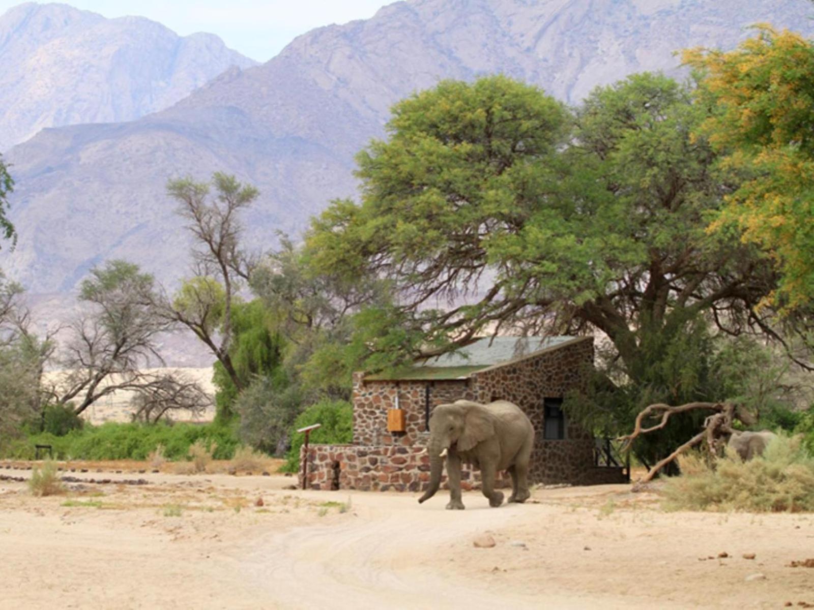 Brandberg White Lady Lodge Uis Extérieur photo