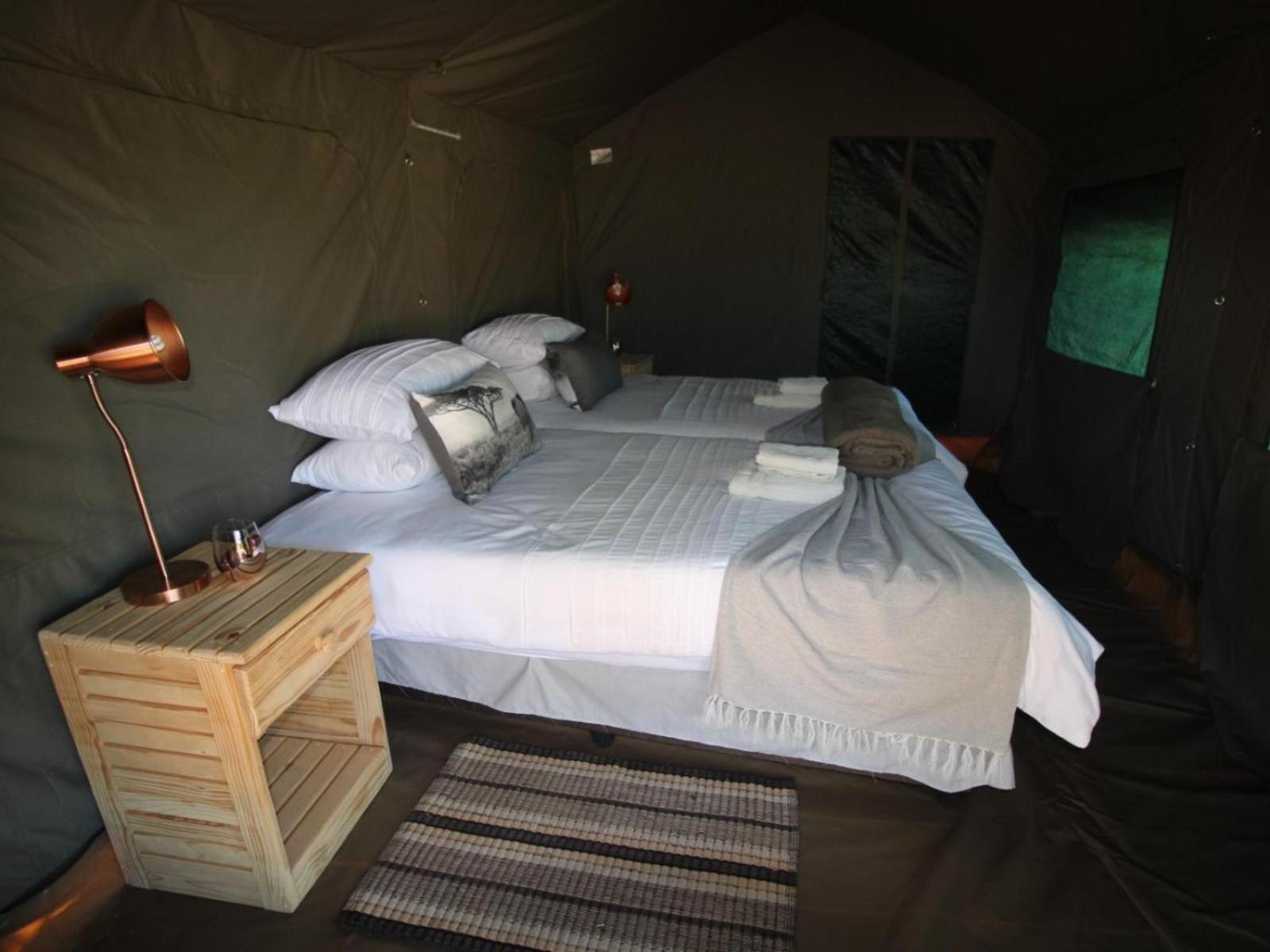 Brandberg White Lady Lodge Uis Extérieur photo