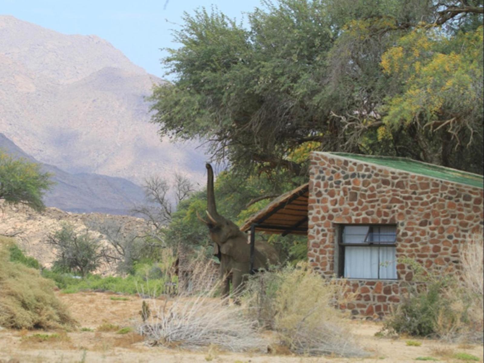 Brandberg White Lady Lodge Uis Extérieur photo