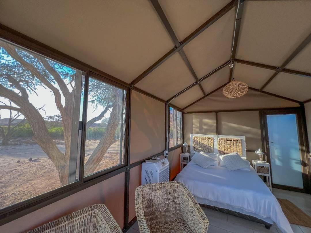Brandberg White Lady Lodge Uis Extérieur photo