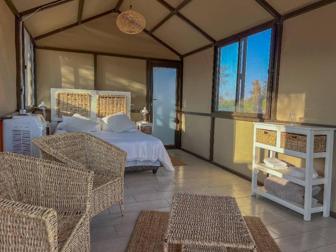Brandberg White Lady Lodge Uis Extérieur photo
