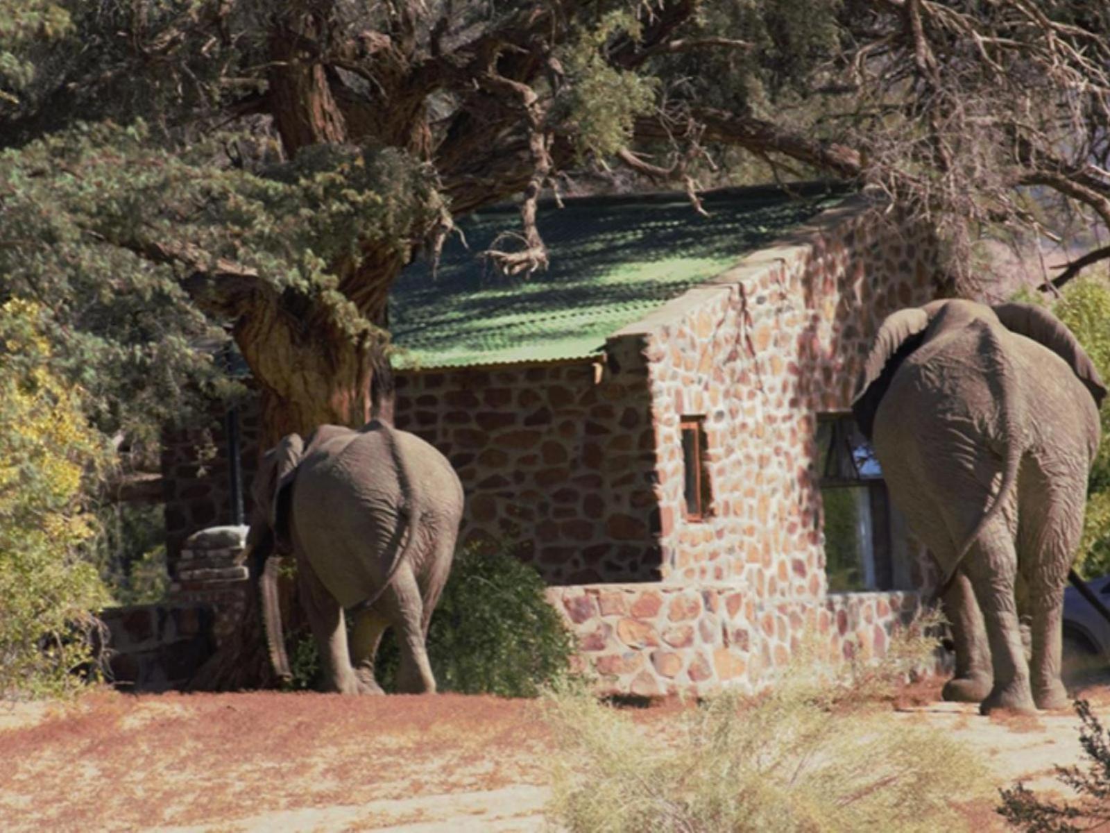 Brandberg White Lady Lodge Uis Extérieur photo