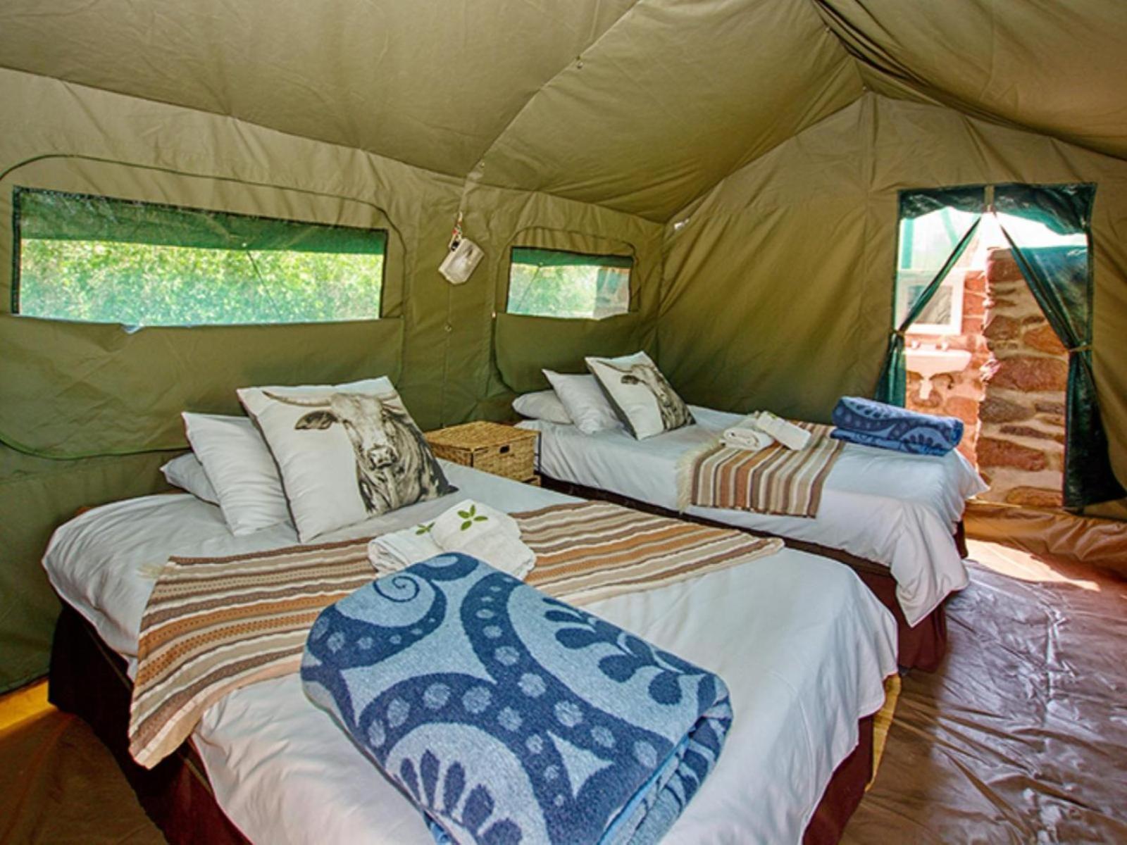 Brandberg White Lady Lodge Uis Extérieur photo