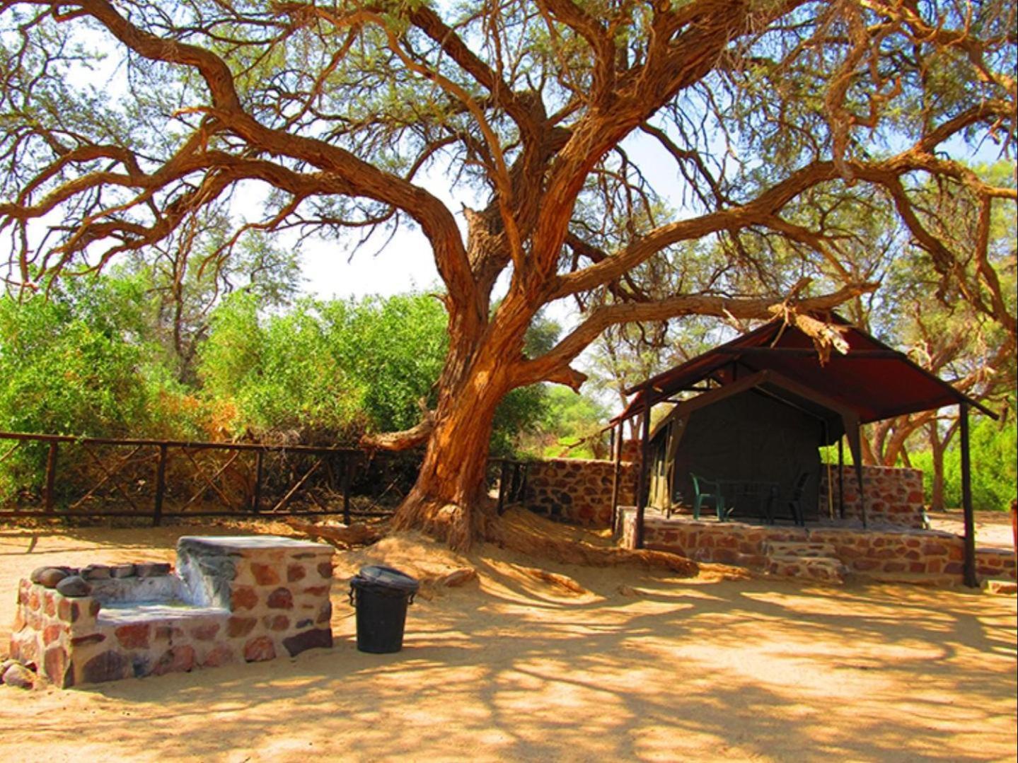 Brandberg White Lady Lodge Uis Extérieur photo